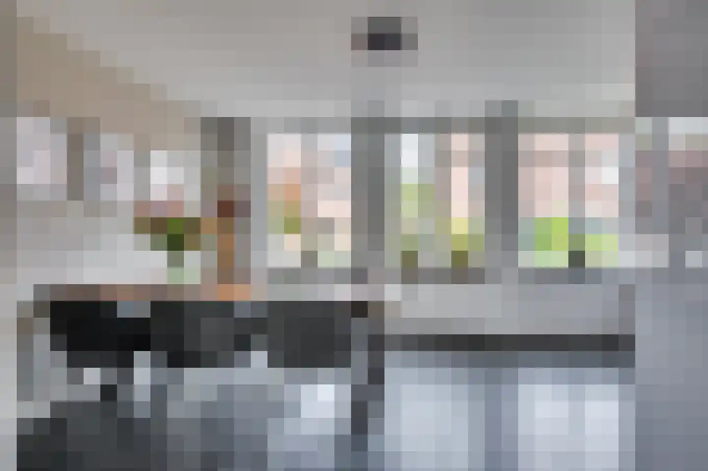 van Wijlickshove 29 Lottum thumbnail 19