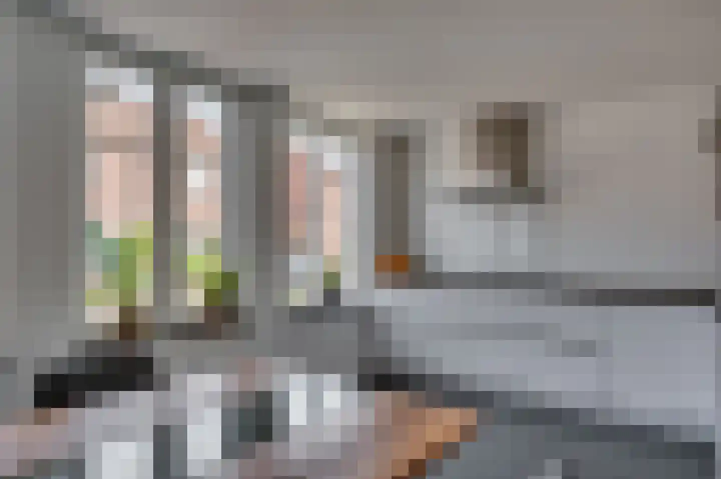 van Wijlickshove 29 Lottum thumbnail 20