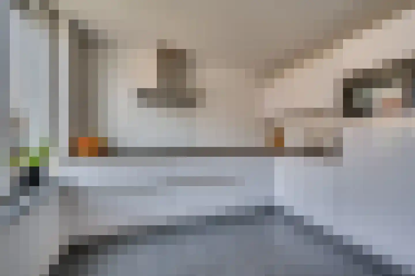 van Wijlickshove 29 Lottum thumbnail 21