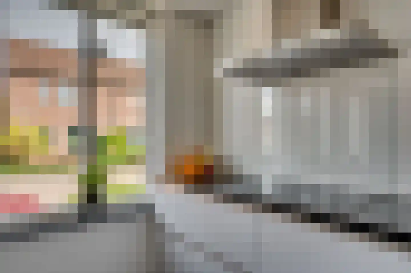 van Wijlickshove 29 Lottum thumbnail 22