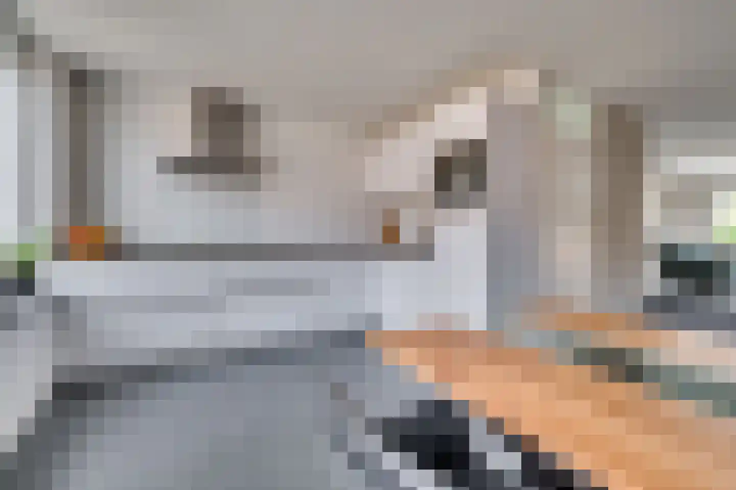 van Wijlickshove 29 Lottum thumbnail 26