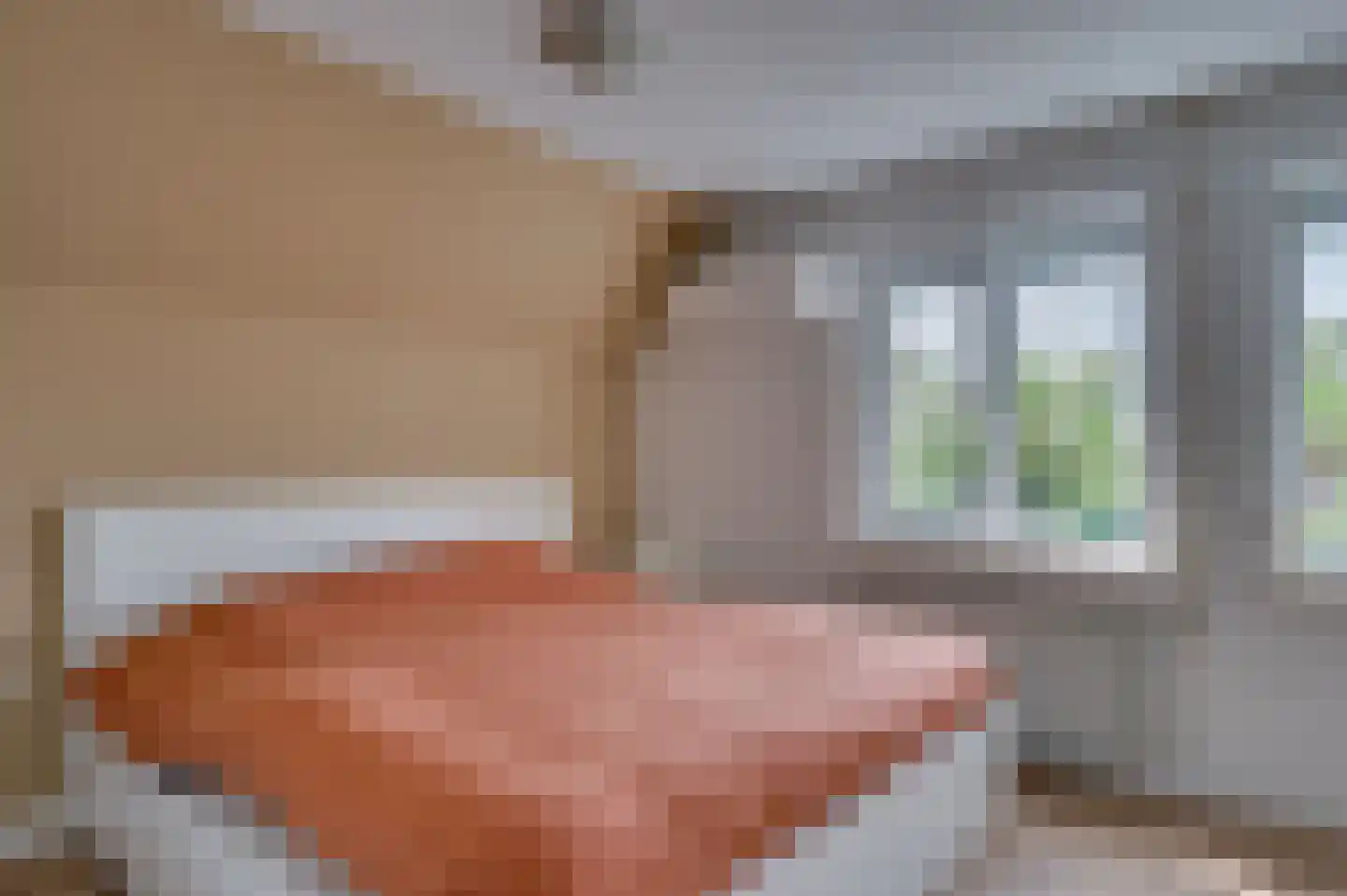 van Wijlickshove 29 Lottum thumbnail 36