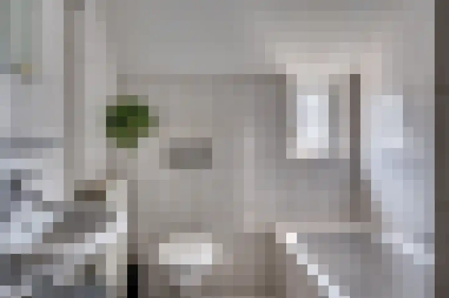 van Wijlickshove 29 Lottum thumbnail 44