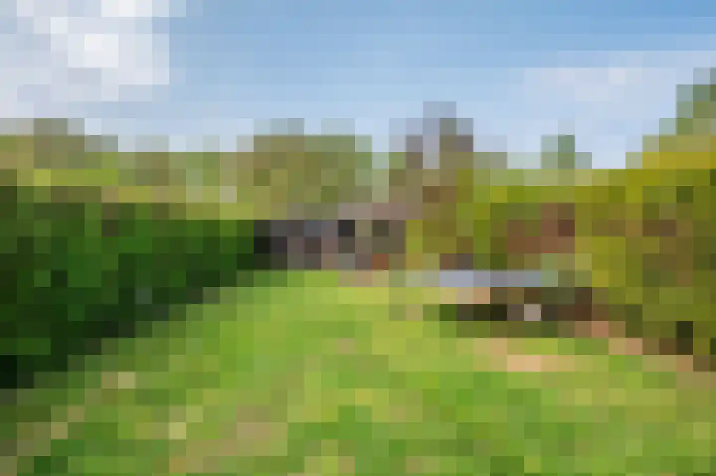 van Wijlickshove 29 Lottum thumbnail 49