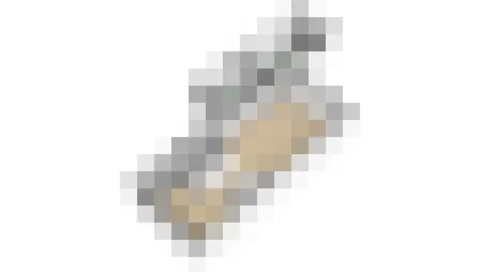 van Wijlickshove 29 Lottum thumbnail 63