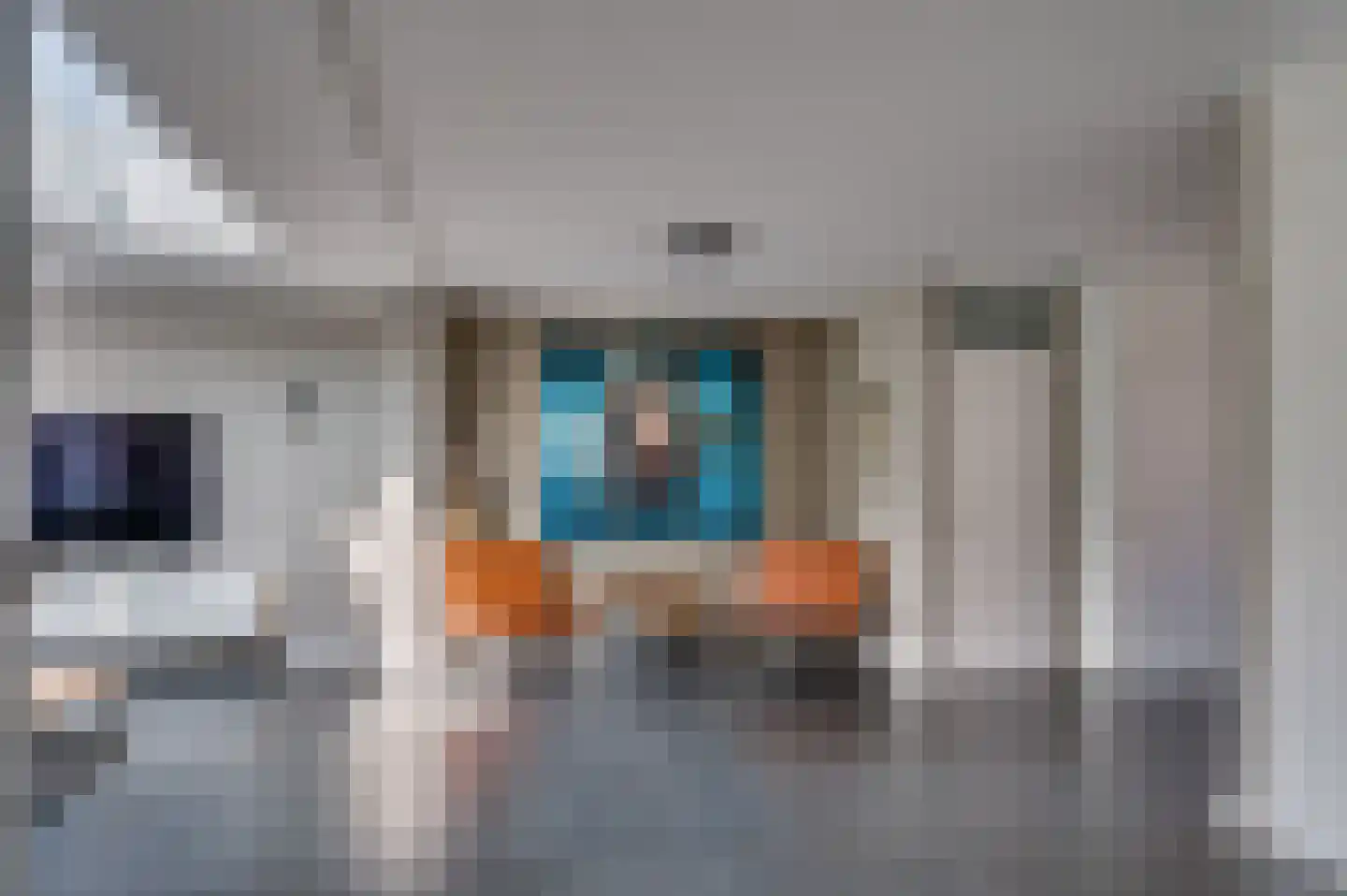 van Wijlickshove 29 Lottum thumbnail 7