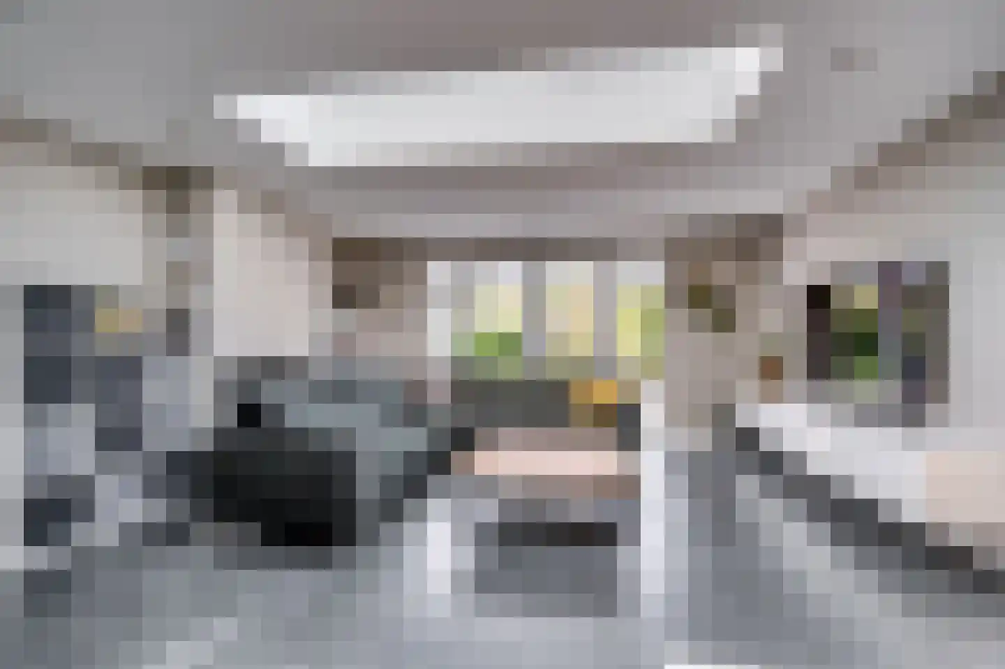 van Wijlickshove 29 Lottum thumbnail 9