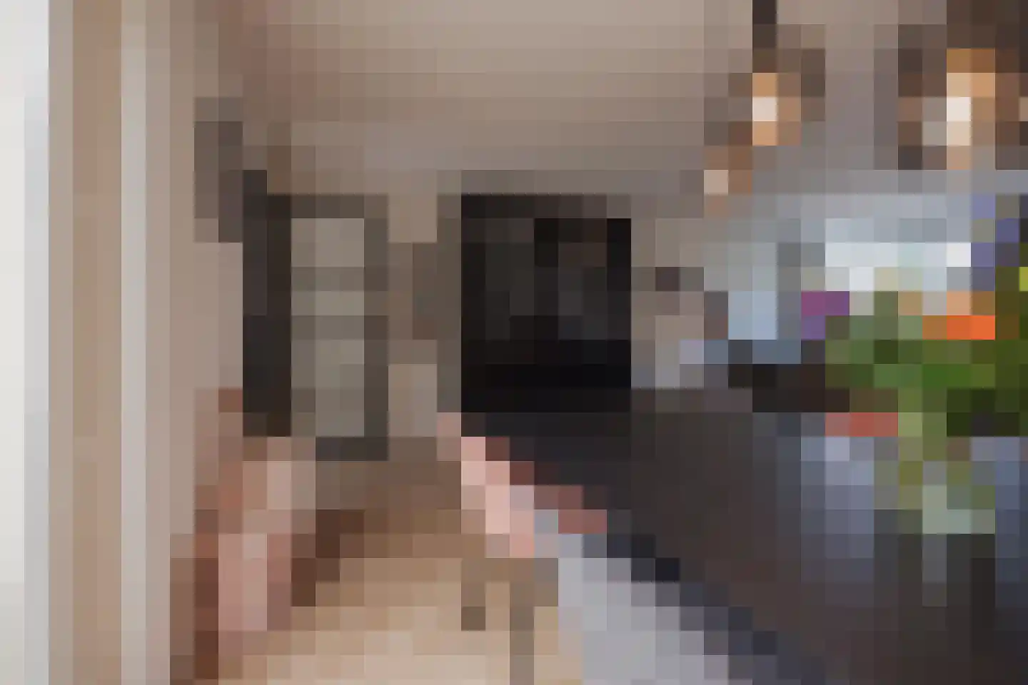van Wijlickshove 44 Lottum thumbnail 15