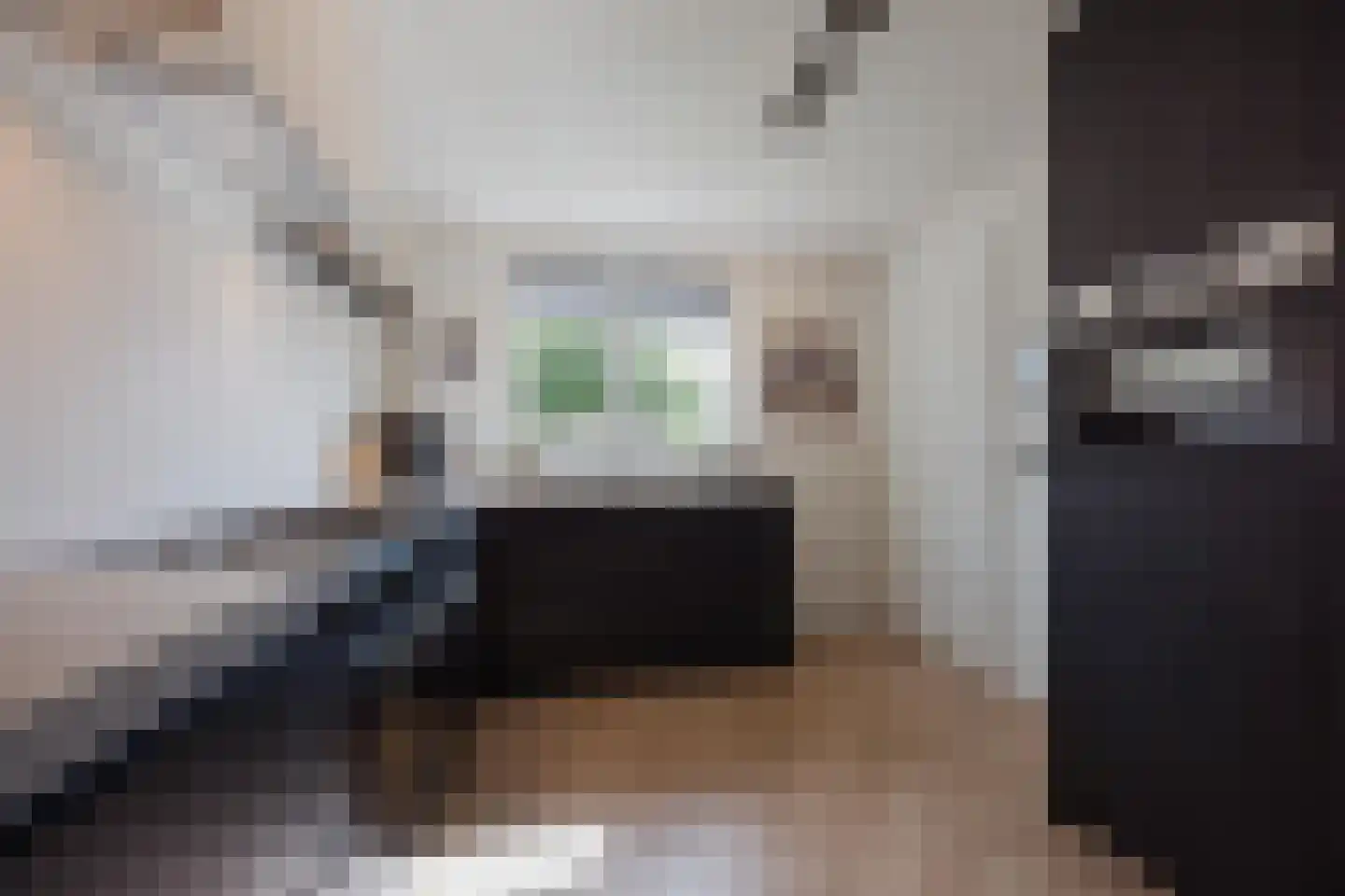 van Wijlickshove 44 Lottum thumbnail 16
