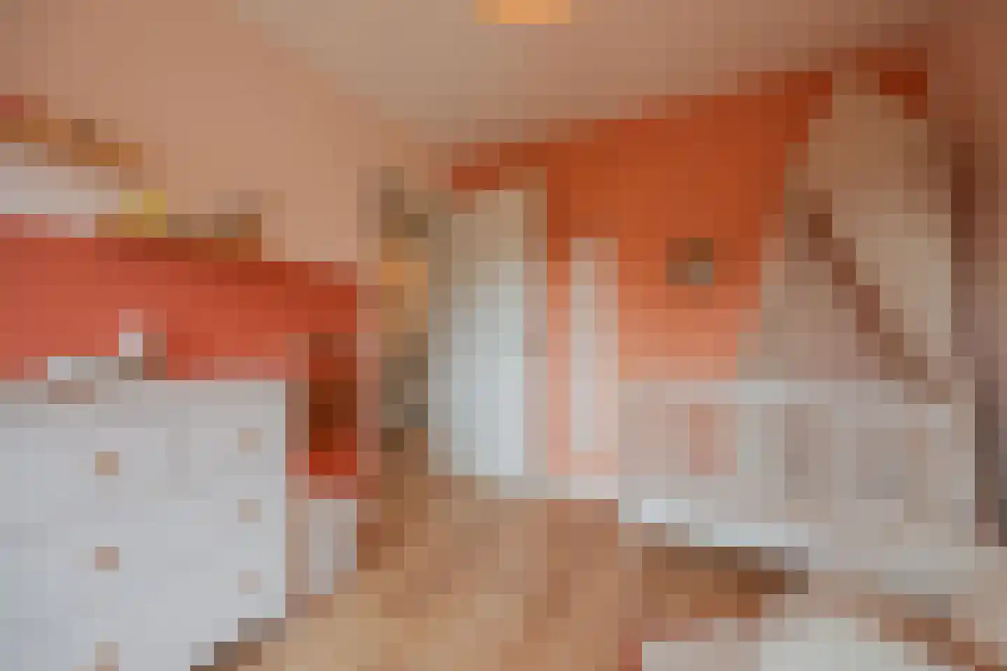 van Wijlickshove 44 Lottum thumbnail 26