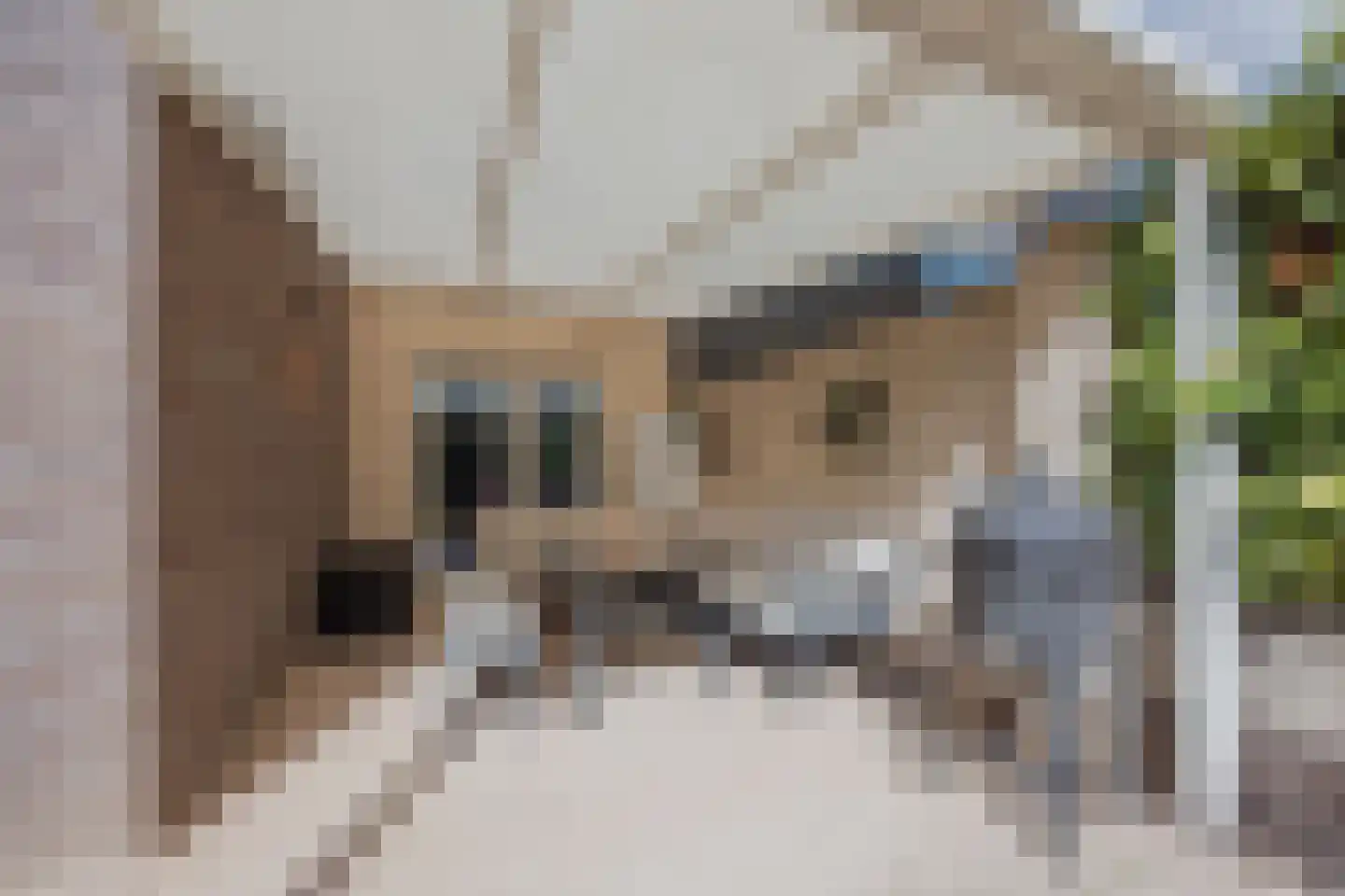 van Wijlickshove 44 Lottum thumbnail 35