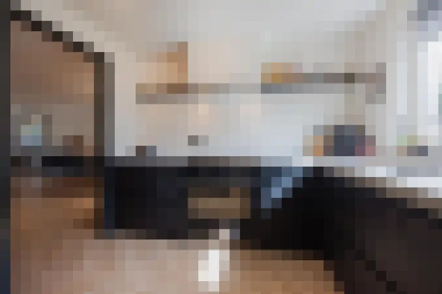van Wijlickshove 44 Lottum thumbnail 7