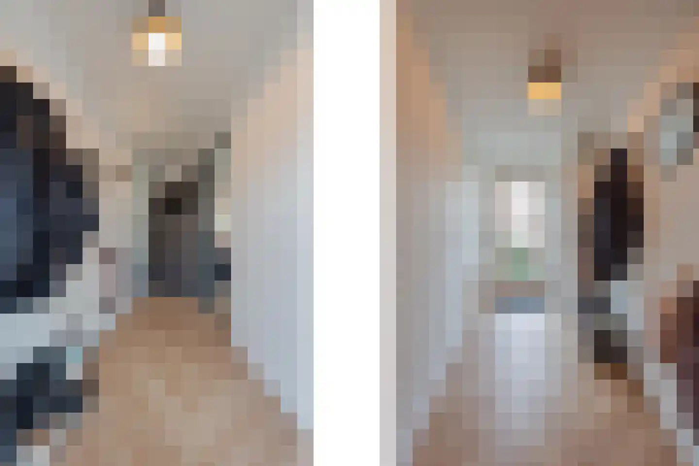 van Wijlickshove 44 Lottum thumbnail 9