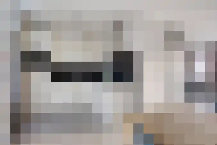 van Wijlickshove 6 Lottum thumbnail 12