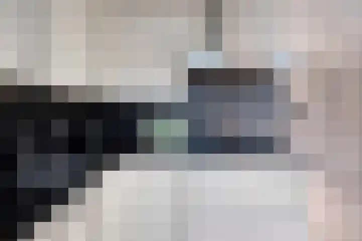 van Wijlickshove 6 Lottum thumbnail 14