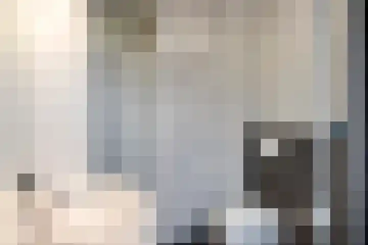 van Wijlickshove 6 Lottum thumbnail 23