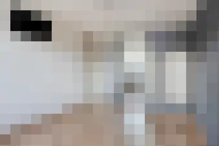 van Wijlickshove 6 Lottum thumbnail 27