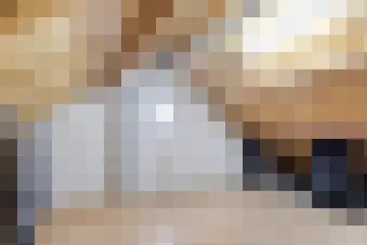 van Wijlickshove 6 Lottum thumbnail 29