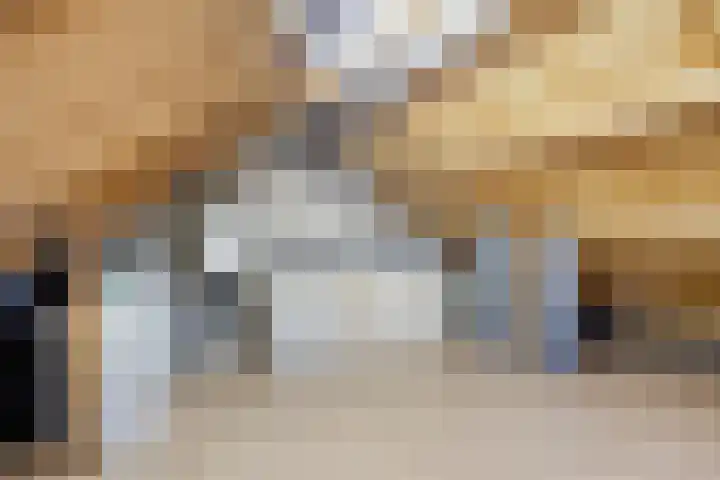 van Wijlickshove 6 Lottum thumbnail 30