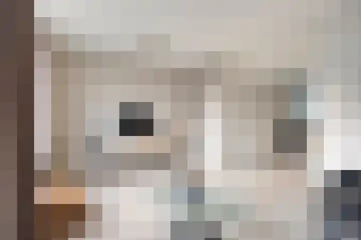van Wijlickshove 6 Lottum thumbnail 7