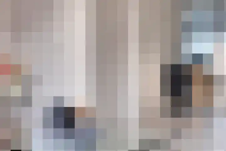 van Wijlickshove 6 Lottum thumbnail 9