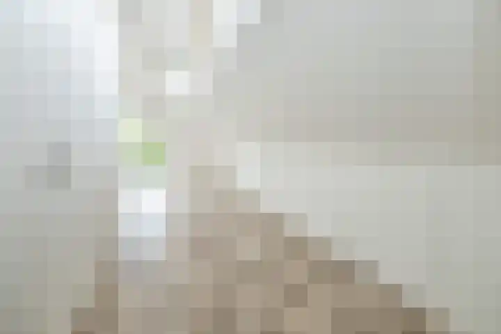 Van Wijnbergenlaan 10 G Barneveld thumbnail 18
