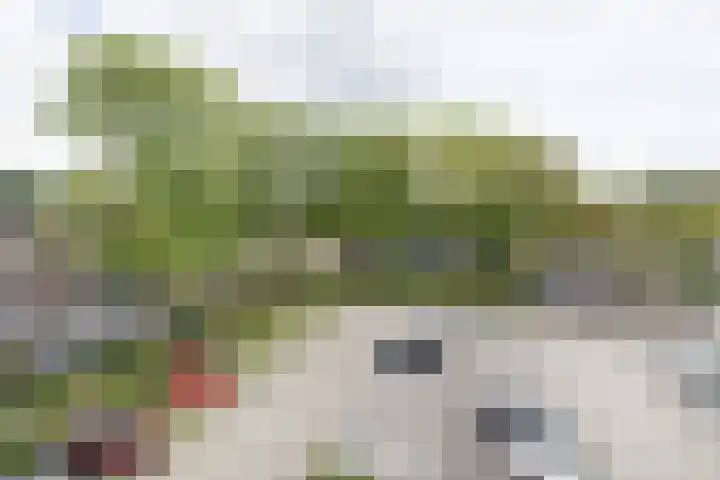 Van Wijnbergenlaan 10 G Barneveld thumbnail 22