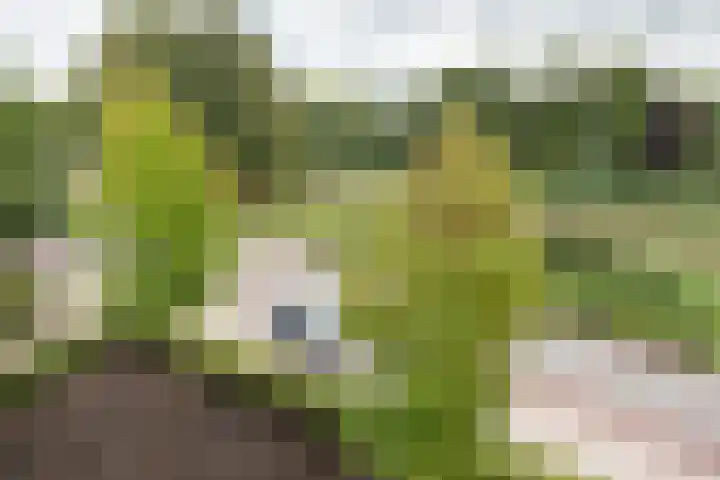 Van Wijnbergenlaan 10 G Barneveld thumbnail 23