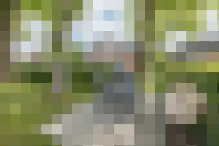 Van Wijnbergenlaan 10 G Barneveld thumbnail 33