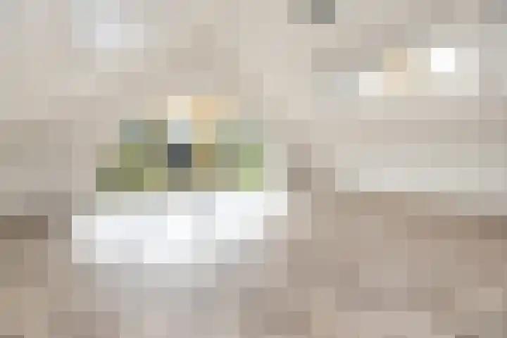 Van Wijnbergenlaan 10 G Barneveld thumbnail 6