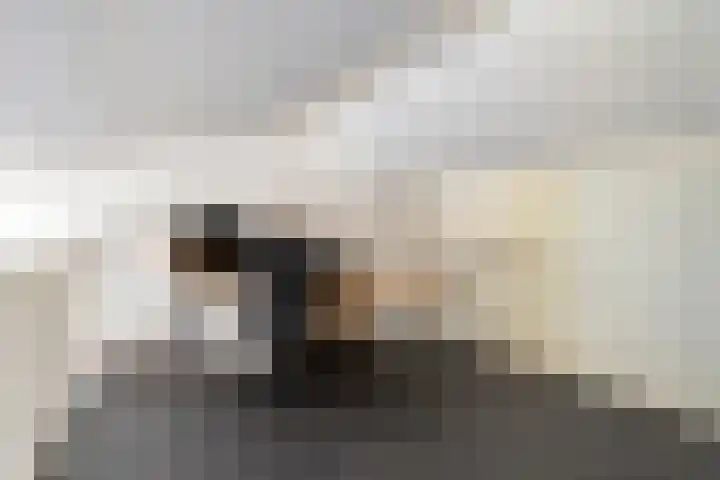 Van Wijnbergenlaan 12 E Barneveld thumbnail 13