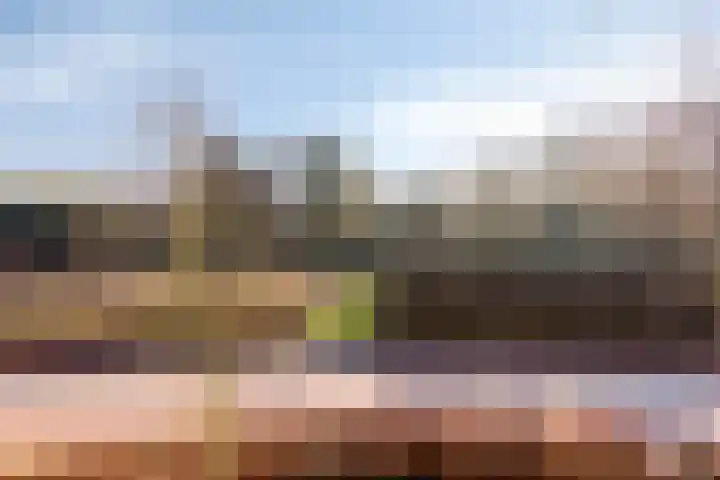 Van Wijnbergenlaan 12 E Barneveld thumbnail 27