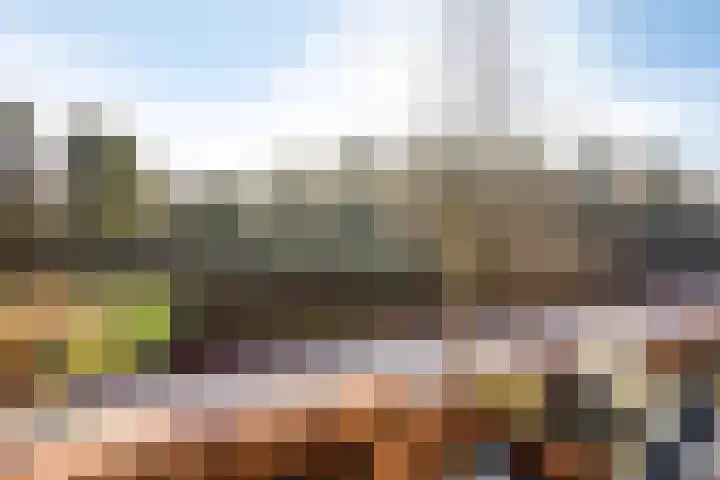 Van Wijnbergenlaan 12 E Barneveld thumbnail 28