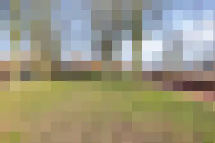 Van Wijnbergenlaan 12 E Barneveld thumbnail 29