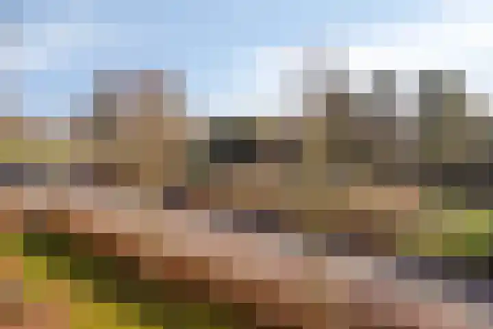Van Wijnbergenlaan 12 E Barneveld thumbnail 7