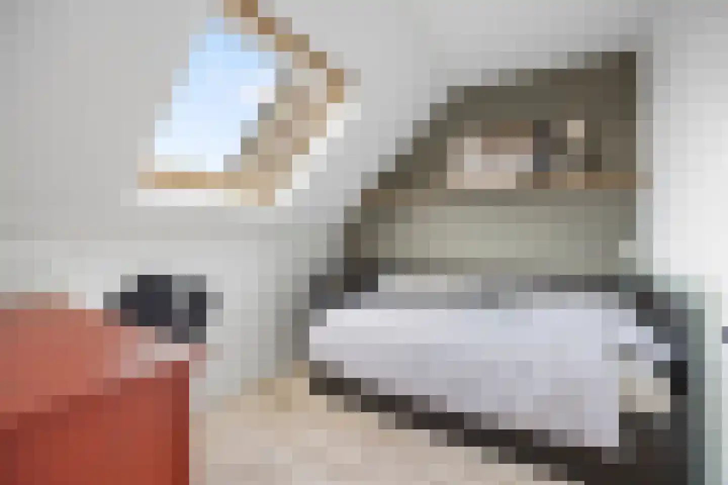 Van Wijnbergenlaan 17 Barneveld thumbnail 26