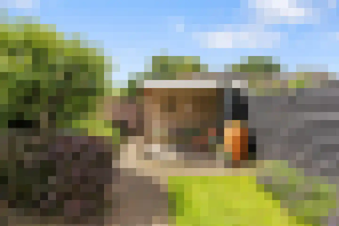 Van Wijnbergenlaan 17 Barneveld thumbnail 29
