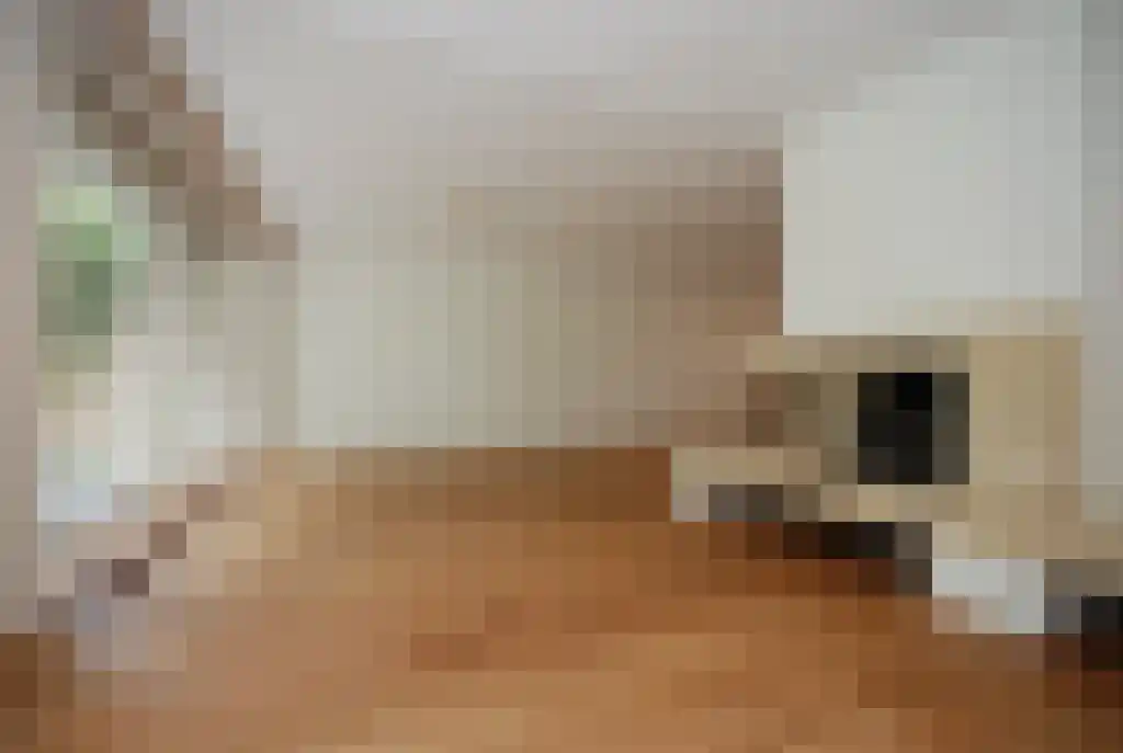 Van Wijnbergenlaan 19 Wassenaar thumbnail 4