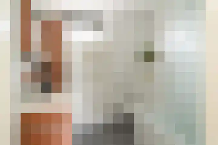 Van Wijnbergenlaan 25 Barneveld thumbnail 24