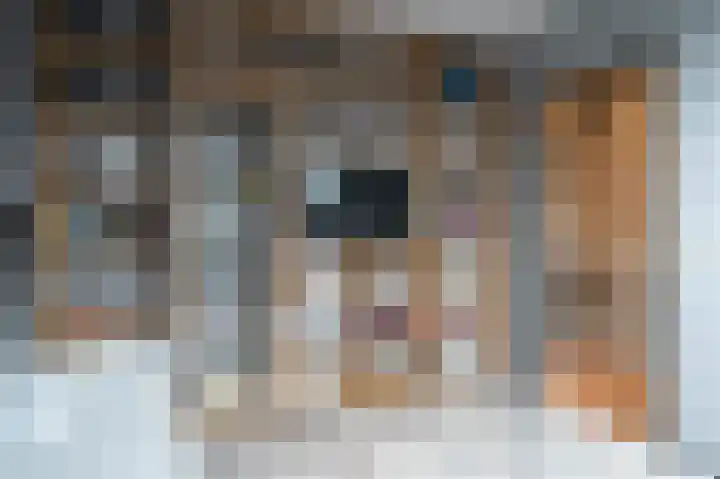 Van Wijnbergenlaan 25 Barneveld thumbnail 32