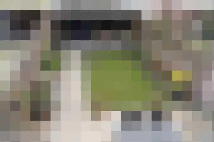 Van Wijnbergenlaan 25 Barneveld thumbnail 35