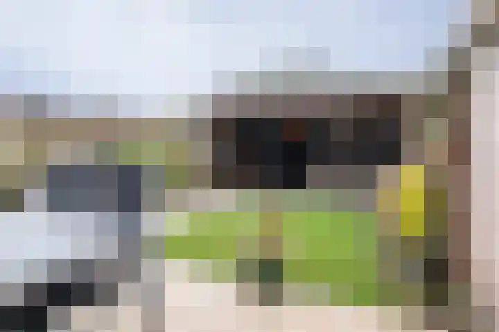 Van Wijnbergenlaan 25 Barneveld thumbnail 38