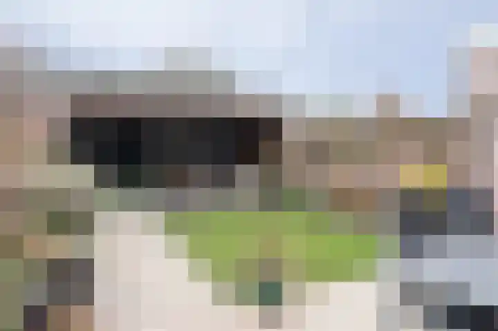 Van Wijnbergenlaan 25 Barneveld thumbnail 39