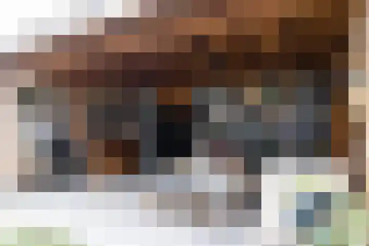 Van Wijnbergenlaan 25 Barneveld thumbnail 41
