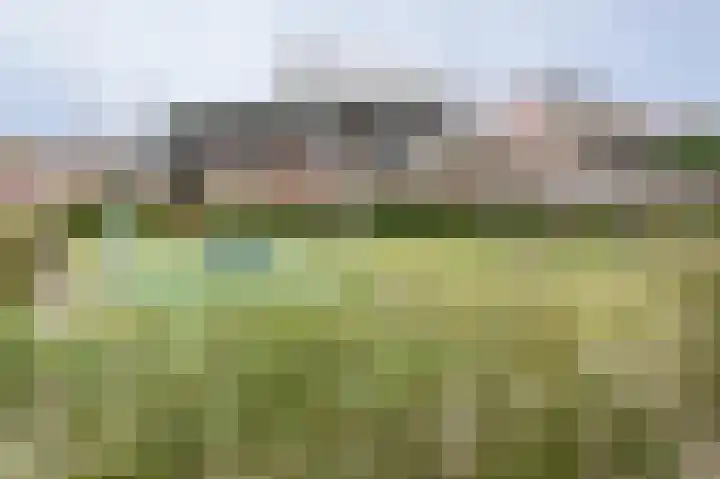 Van Wijnbergenlaan 25 Barneveld thumbnail 44