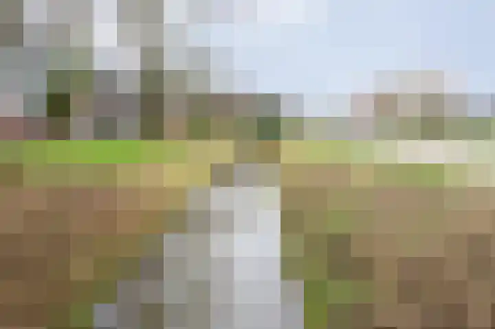 Van Wijnbergenlaan 25 Barneveld thumbnail 6