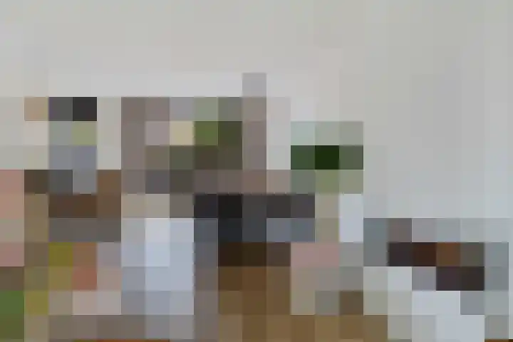 Van Wijnbergenlaan 46 Barneveld thumbnail 13