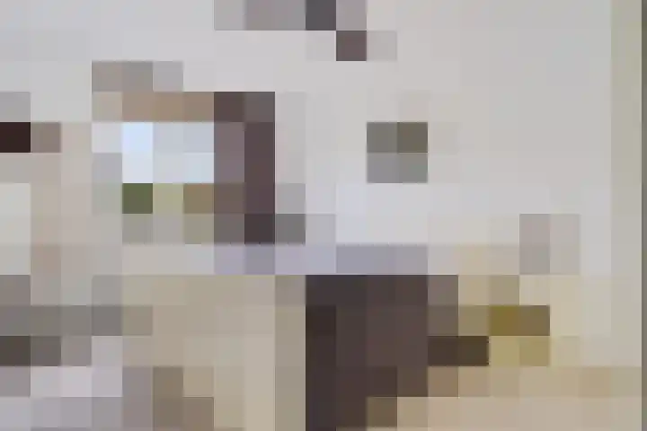 Van Wijnbergenlaan 46 Barneveld thumbnail 24