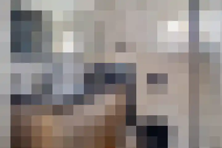 Van Wijnbergenlaan 46 Barneveld thumbnail 26
