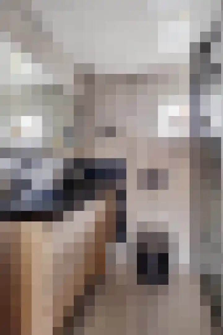 Van Wijnbergenlaan 46 Barneveld thumbnail 27